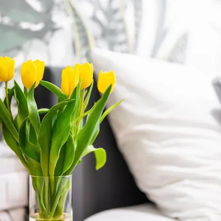 Good Things Near Center Ceglana Street & Parking - Blisko Szpitali Okulistyka Euromedic Mswia Apartment *