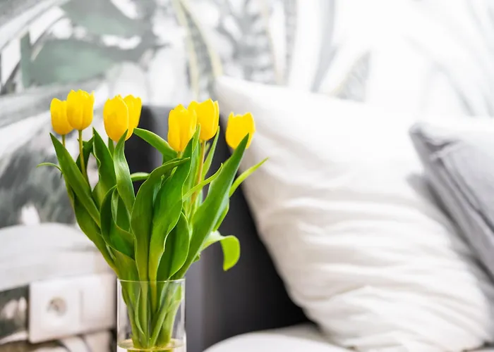 Good Things Near Center Ceglana Street & Parking - Blisko Szpitali Okulistyka Euromedic Mswia アパート *